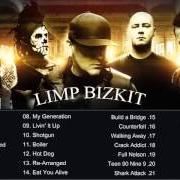 The lyrics RE-ARRANGED of LIMP BIZKIT is also present in the album Greatest hits (2005)