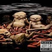 The lyrics HOLD ON of LIMP BIZKIT is also present in the album Chocolate starfish and the hot dog flavored water (2000)