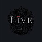 The lyrics FEEL THE QUIET RIVER RAGE of LIVE is also present in the album Secret samadhi (1997)