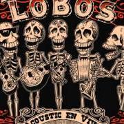 The lyrics TWO JANES of LOS LOBOS is also present in the album Acoustic en vivo (2005)