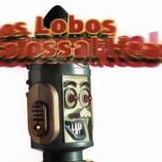 The lyrics THIS BIRD'S GONNA FLY of LOS LOBOS is also present in the album Colossal head (1996)