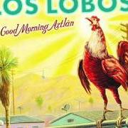 The lyrics LUZ DE MI VIDA of LOS LOBOS is also present in the album Good morning aztlan (2002)