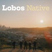 The lyrics BLUEBIRD of LOS LOBOS is also present in the album Native sons (2021)