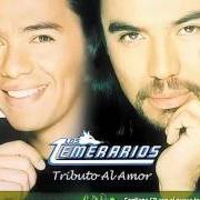 The lyrics TE HICE MAL of LOS TEMERARIOS is also present in the album Tributo al amor (2003)