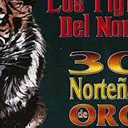 The lyrics LOS HIJOS DE HERNANDEZ of LOS TIGRES DEL NORTE is also present in the album 20 nortenas famosas (2004)
