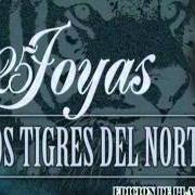 The lyrics REGALO CARO of LOS TIGRES DEL NORTE is also present in the album 25 joyas (2007)