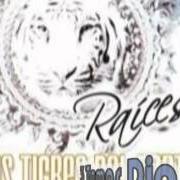 The lyrics EL REY of LOS TIGRES DEL NORTE is also present in the album Raices (2008)