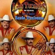 The lyrics EL PELLIZCON of LOS TUCANES DE TIJUANA is also present in the album Banda mix (2003)