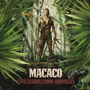 The lyrics VALIENTES of MACACO is also present in the album Civilizado como los animales (2019)