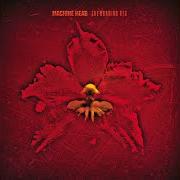 The lyrics THE BURNING RED of MACHINE HEAD is also present in the album The burning red (1999)
