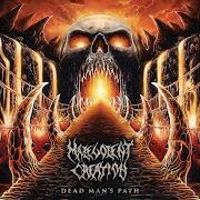 The lyrics EXTINCTION PERSONIFIED of MALEVOLENT CREATION is also present in the album Dead man's path (2015)