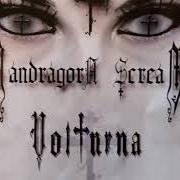 The lyrics THE SEAGULL'S CREED of MANDRAGORA SCREAM is also present in the album Volturna (2009)