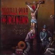 The lyrics FORBIDDEN ZONE of MANILLA ROAD is also present in the album The circus maximus (1992)