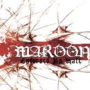 The lyrics WATCH IT ALL COME DOWN of MAROON is also present in the album Endorsed by hate (2004)