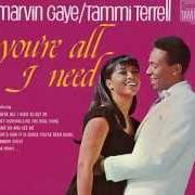 The lyrics THAT'S HOW IT IS (SINCE YOU'VE BEEN GONE) of MARVIN GAYE is also present in the album You're all i need [with tammi terrell] (1968)