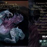The lyrics TRAMPLED UNDER HOOF of MASTODON is also present in the album Remission (2002)