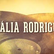 The lyrics FADO DA SAUDADE of AMALIA RODRIGUES is also present in the album The amália rodrigues collection, vol. 1 (2000)