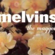 The lyrics SEE HOW PRETTY, SEE HOW SMART of THE MELVINS is also present in the album The maggot (1999)