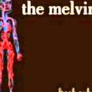 The lyrics A GROWING DISGUST of THE MELVINS is also present in the album Freak puke (2012)