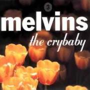 The lyrics MOON PIE of THE MELVINS is also present in the album The crybaby (2000)
