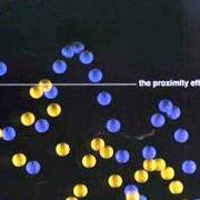 The lyrics AMATEUR of NADA SURF is also present in the album The proximity effect (1998)