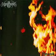 The lyrics AS THE STARS TOOK ME WITH 'EM of NARGAROTH is also present in the album Amarok (2000)