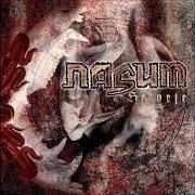 The lyrics REASONS? of NASUM is also present in the album Grind finale (2005)