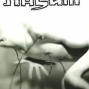 The lyrics DEFRAGMENTATION of NASUM is also present in the album Human 2.0 (1999)