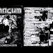 The lyrics DOM STYR VARA LIV of NASUM is also present in the album Domedagen (1994)