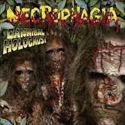 The lyrics IT LIVES IN THE WOODS of NECROPHAGIA is also present in the album Cannibal holocaust (2001)
