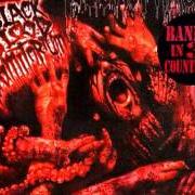 The lyrics AND YOU WILL LIVE IN TERROR of NECROPHAGIA is also present in the album Black blood vomitorium (1999)