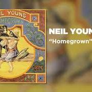 The lyrics LOVE IS A ROSE of NEIL YOUNG is also present in the album Homegrown (2020)