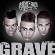 The lyrics FLOWERS ARE SLOW of NEKROMANTIX is also present in the album Life is a grave & i dig it! (2007)