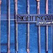 The lyrics DOWN THE THROAT of NIGHT IN GALES is also present in the album Nailwork (1999)