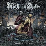 The lyrics CHOIR OF UNLIGHT of NIGHT IN GALES is also present in the album Dawnlight garden (2020)