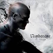 The lyrics DESPERATE VOWS of NIGHTRAGE is also present in the album The puritan (2015)
