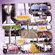 The lyrics M FOR MATURE of NORMAL LIKE YOU is also present in the album Planes trains & automobiles (2006)