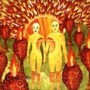 The lyrics REQUIEM FOR O.M.M.2 of OF MONTREAL is also present in the album The sunlandic twins (2005)