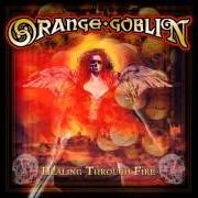 The lyrics MORTLAKE (DEAD WATER) of ORANGE GOBLIN is also present in the album Healing through fire (2007)