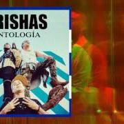 The lyrics 5.3.7 CUBA of ORISHAS is also present in the album Antidiotico