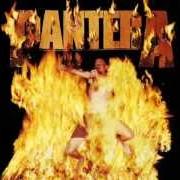 The lyrics DEATH RATTLE of PANTERA is also present in the album Reinventing the steel (2000)