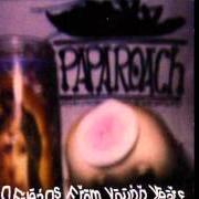 The lyrics ORANGE DRIVE PALMS of PAPA ROACH is also present in the album Old friends from young years (1997)
