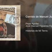 The lyrics CORRIDO DE CHIHUAHUA of PEPE AGUILAR is also present in the album Historias de mi tierra (2005)