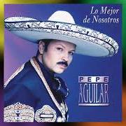 The lyrics ES MEJOR DECIR ADIOS of PEPE AGUILAR is also present in the album Lo mejor de nosotros (2001)