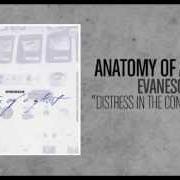 The lyrics BEAUTY IS IN IT'S EMBRACE of ANATOMY OF A GHOST is also present in the album Evanesce (2003)