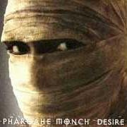 The lyrics WHEN THE GUN DRAWS of PHAROAHE MONCH is also present in the album Desire (2007)