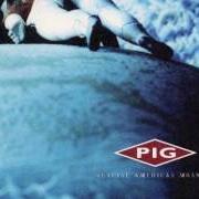 The lyrics A FÊTE WORSE THAN DEATH of PIG is also present in the album Genuine american monster (2002)