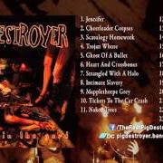 The lyrics JUNKYARD GOD of PIG DESTROYER is also present in the album Prowler in the yard (2001)