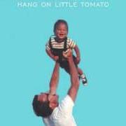 The lyrics U PLAVU ZORU of PINK MARTINI is also present in the album Hang on little tomato (2004)