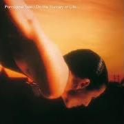 The lyrics IT WILL RAIN FOR A MILLION YEARS of PORCUPINE TREE is also present in the album On the sunday of life..... (1991)